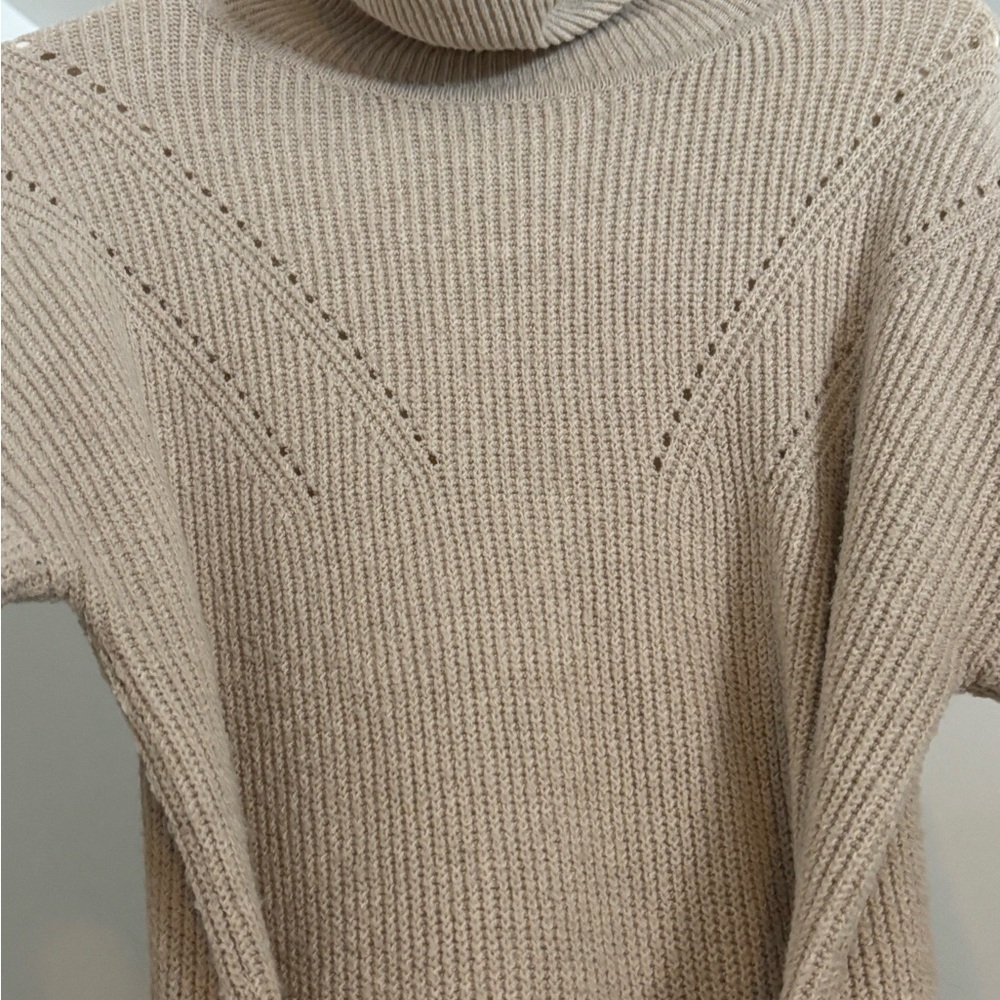 Pink Rose Taupe Turtleneck Dress